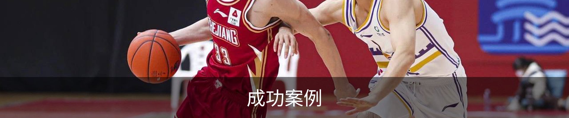 成功案例